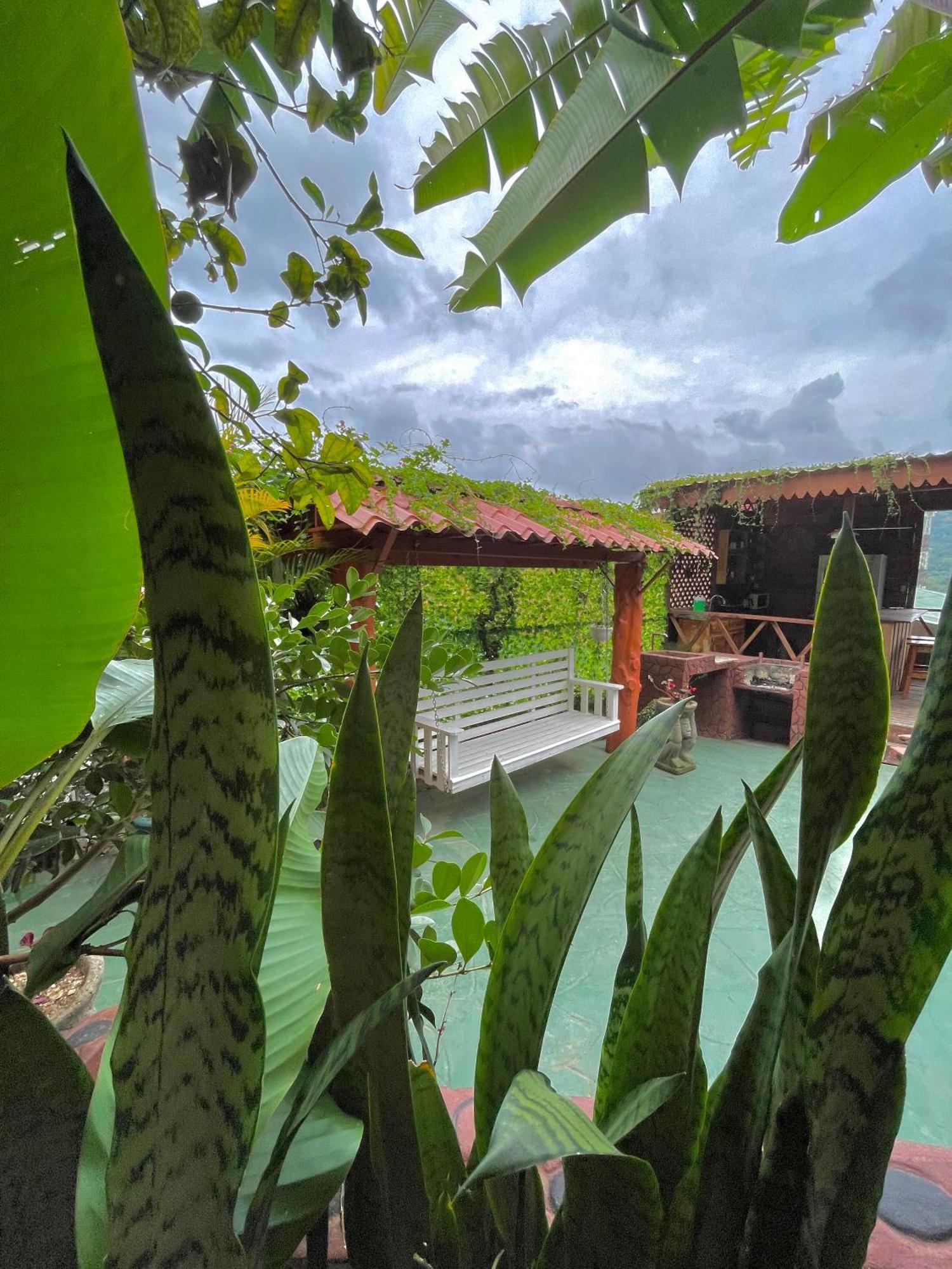 Dreams Lodge Orosi Καρτάγο Εξωτερικό φωτογραφία